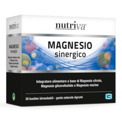 NUTRIVA MAGNESIO SINERGICO 66G