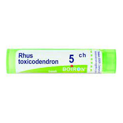 RHUS TOXICODENDRON*5CH 80GR 4G