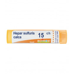HEPAR SULFURIS CALC*15CH 80GR