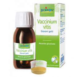 Vaccinium Vitis Bio Mg60ml Int
